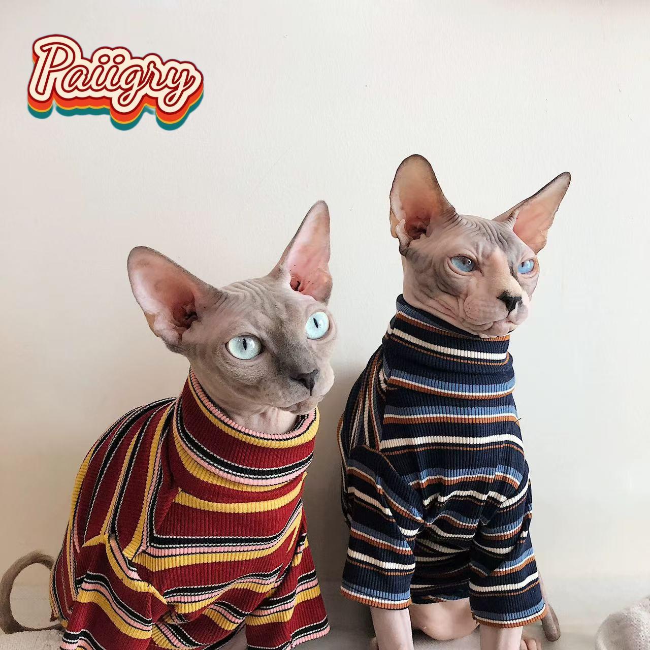 ハイコールドレトロスタイル猫ペットTシャツ、トレンディファッ - Summer Clothing Must Haves のレビューと価格